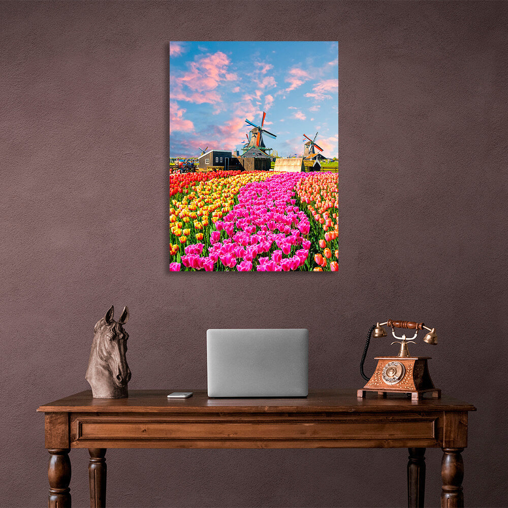 Ein Tulpenfeld in der Nähe der Mühlenhäuser. Kunstdruck auf Leinwand