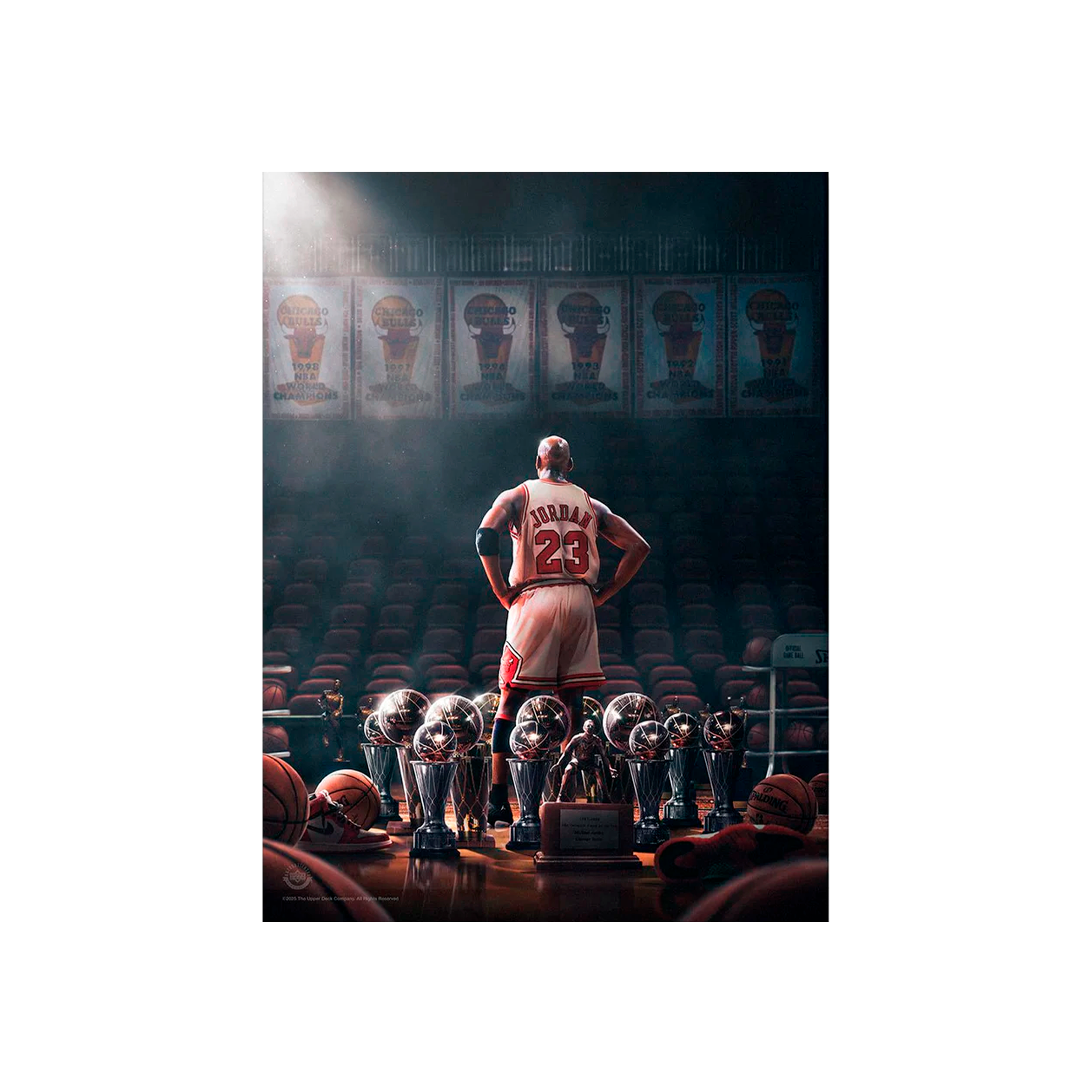 Kunstdruck auf Leinwand, Motiv: Weiße Boxhandschuhe auf weißem Hintergrund