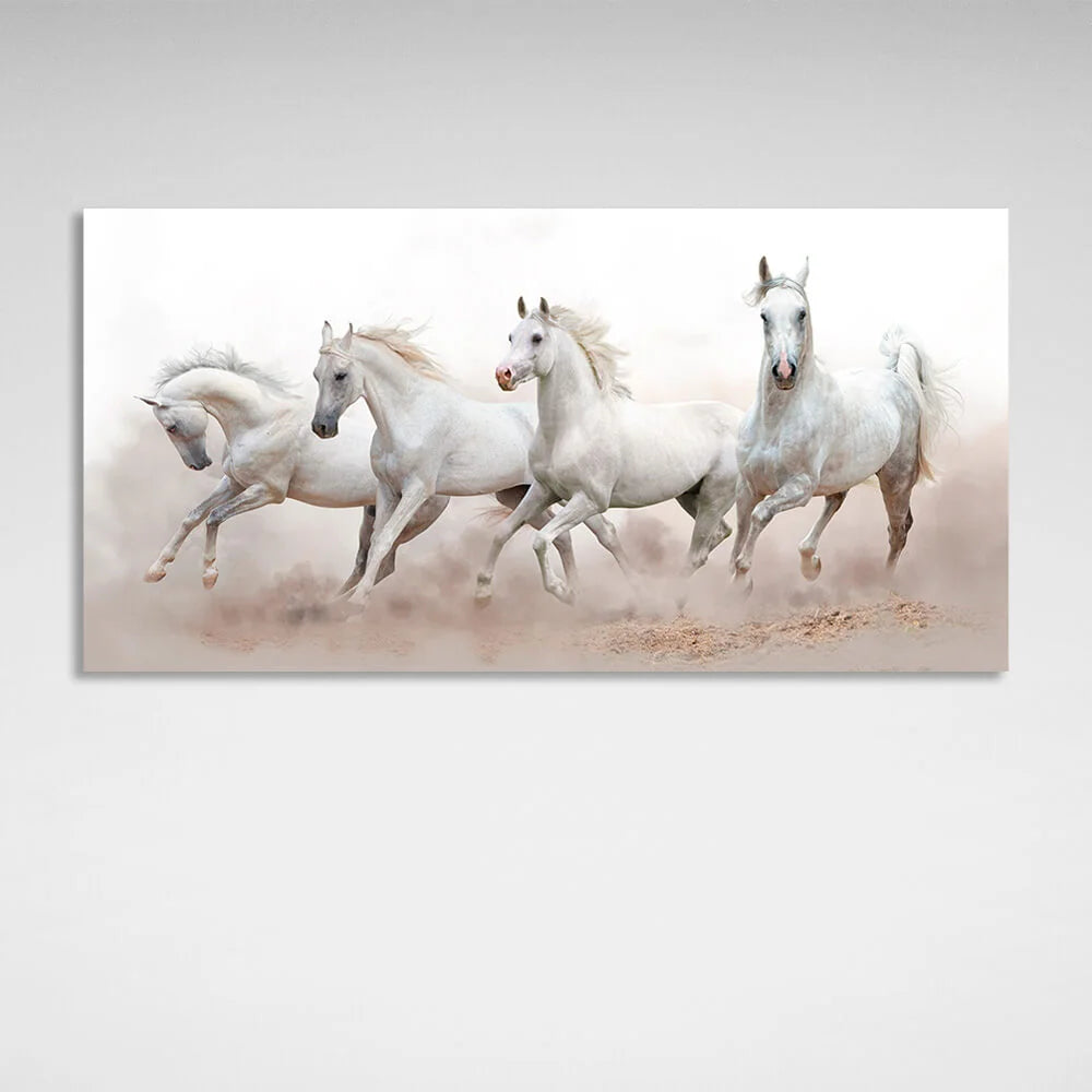 4 white horses running on sand on white background Canvas Wall Art Print