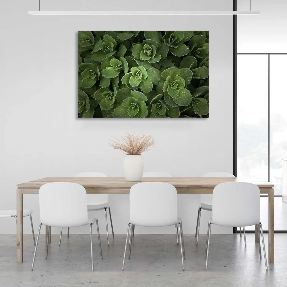Kunstdruck auf Leinwand, Sedum-Busch