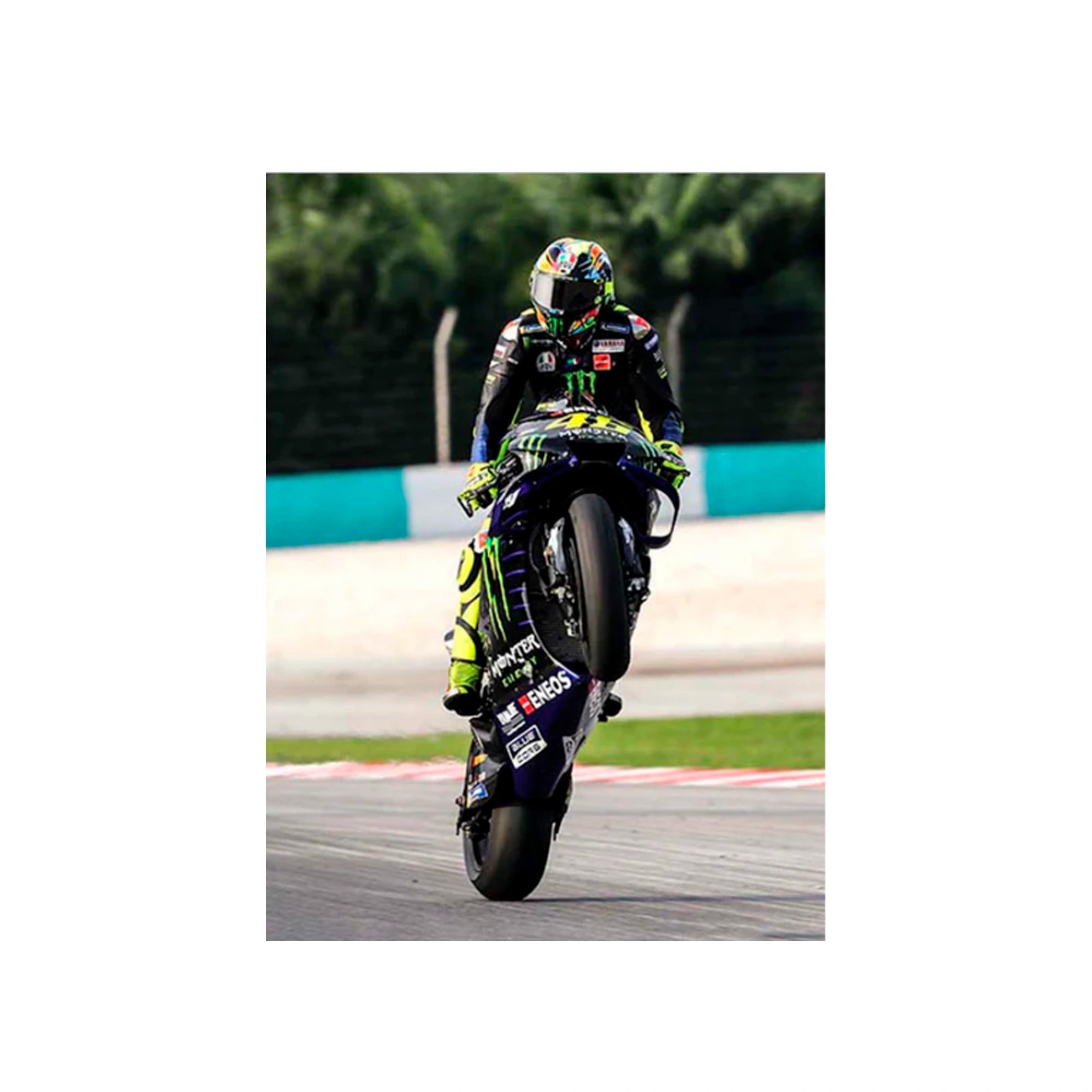 Motorcyclist Valentino Rossi Canvas Wall Art Print