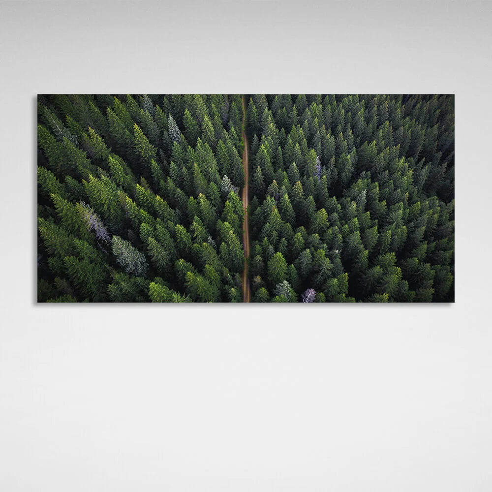 Leinwandbild „Die Straße durch den Nadelwald“