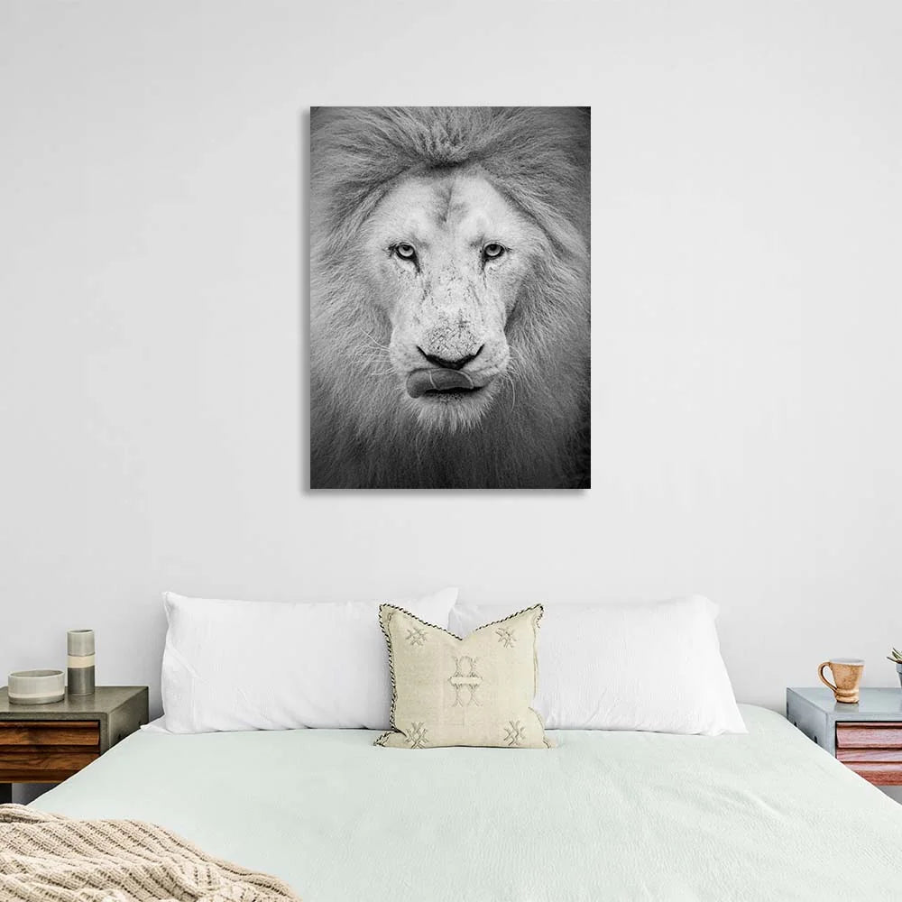 White lion Canvas Wall Art Print