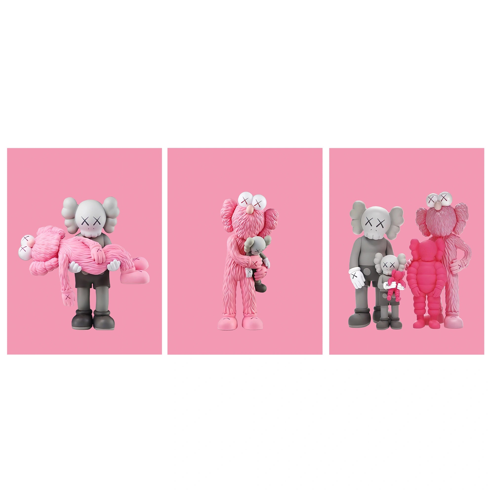 KAWS CANVAS Collection: Pink Edition