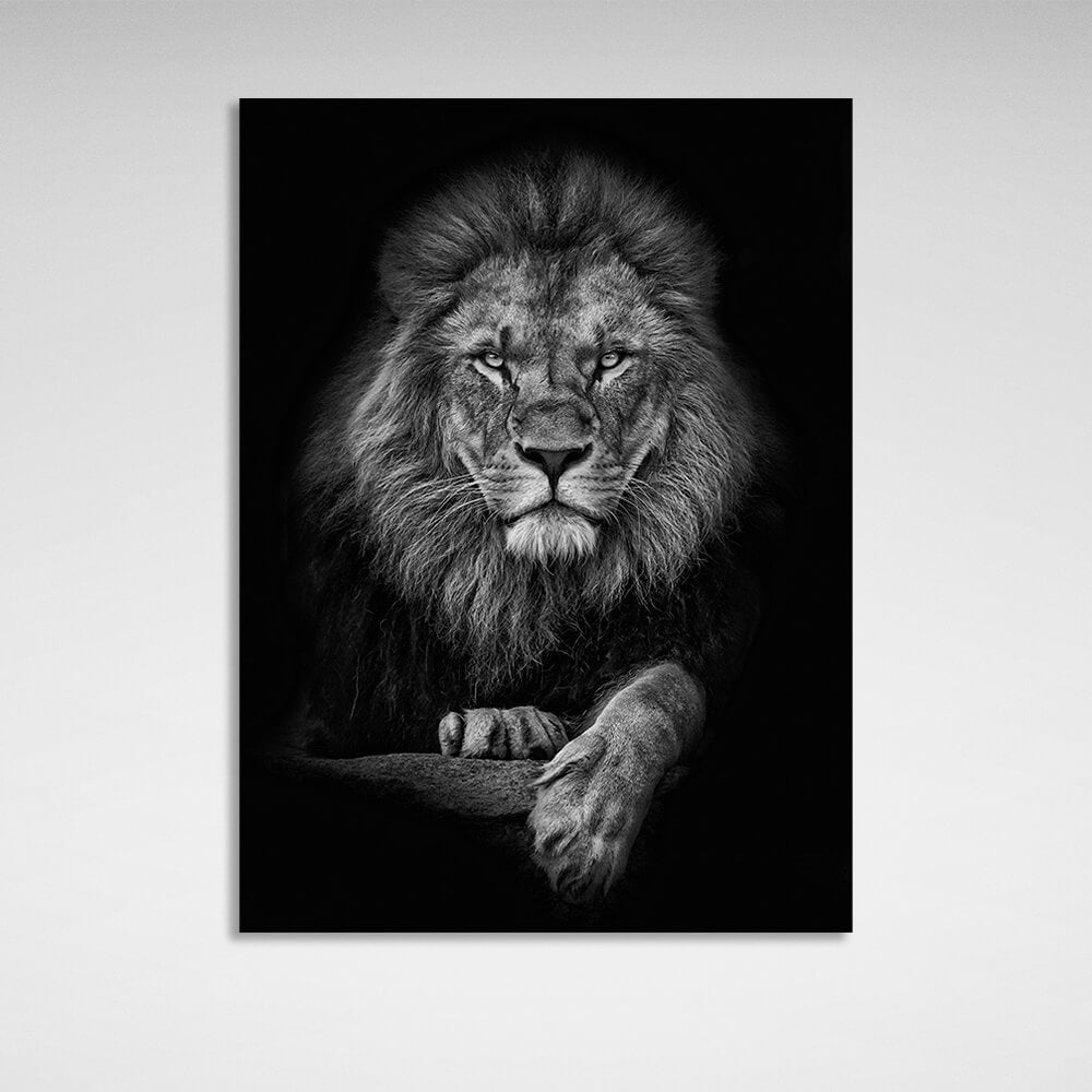 Lion on a black background Canvas Wall Art Print