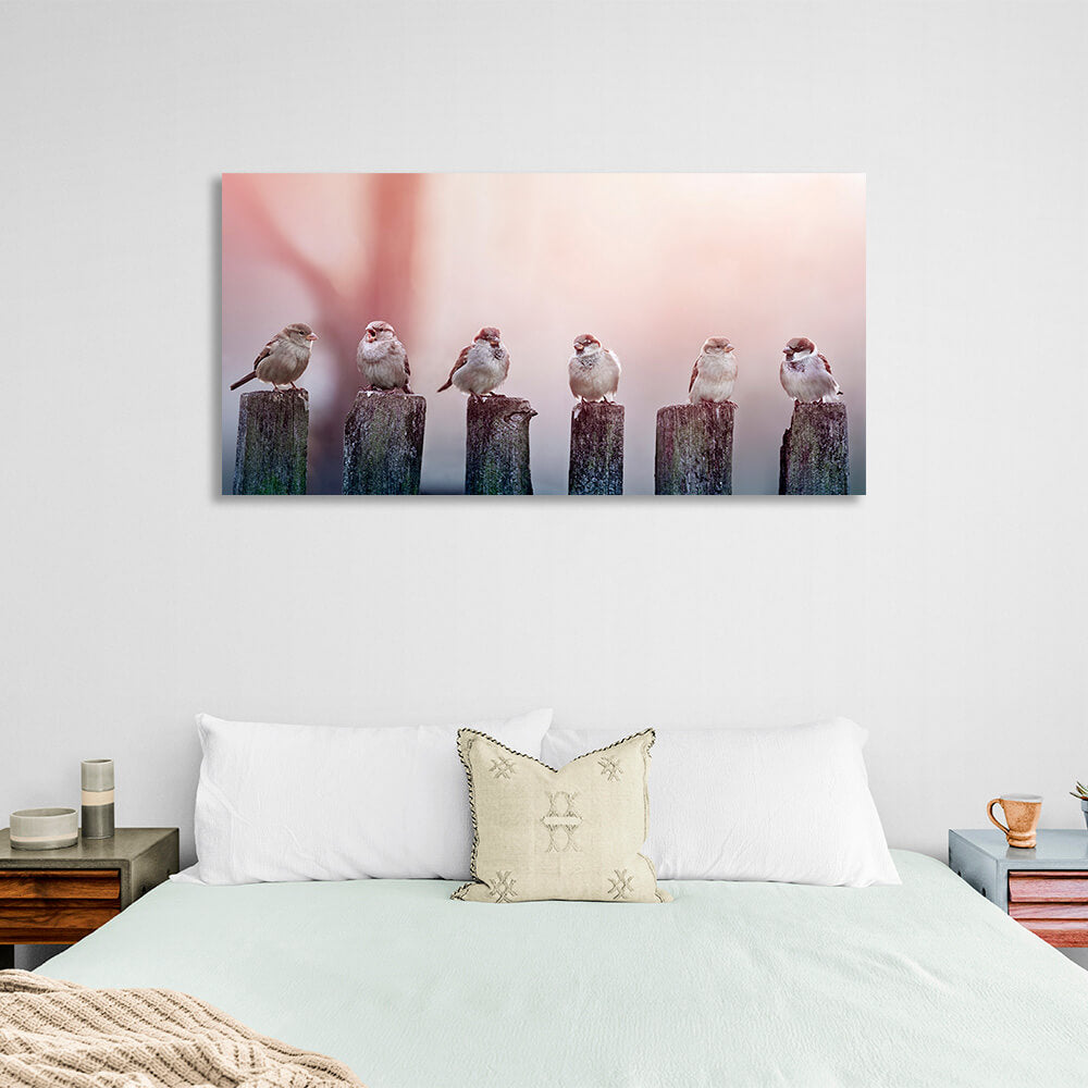 Six sparrows on a fence on a soft pink background Canvas Wall Art Print