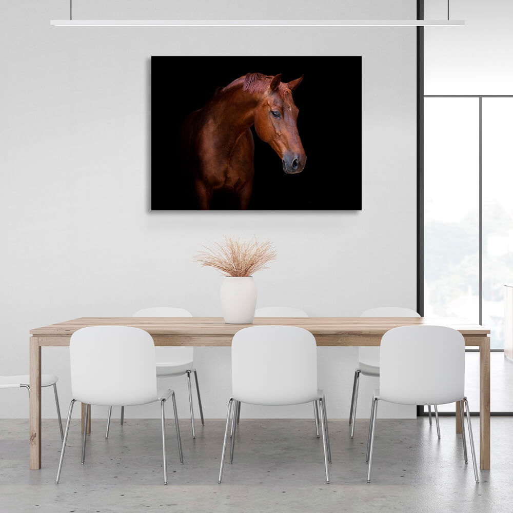 Brown horse on black background Canvas Wall Art Print