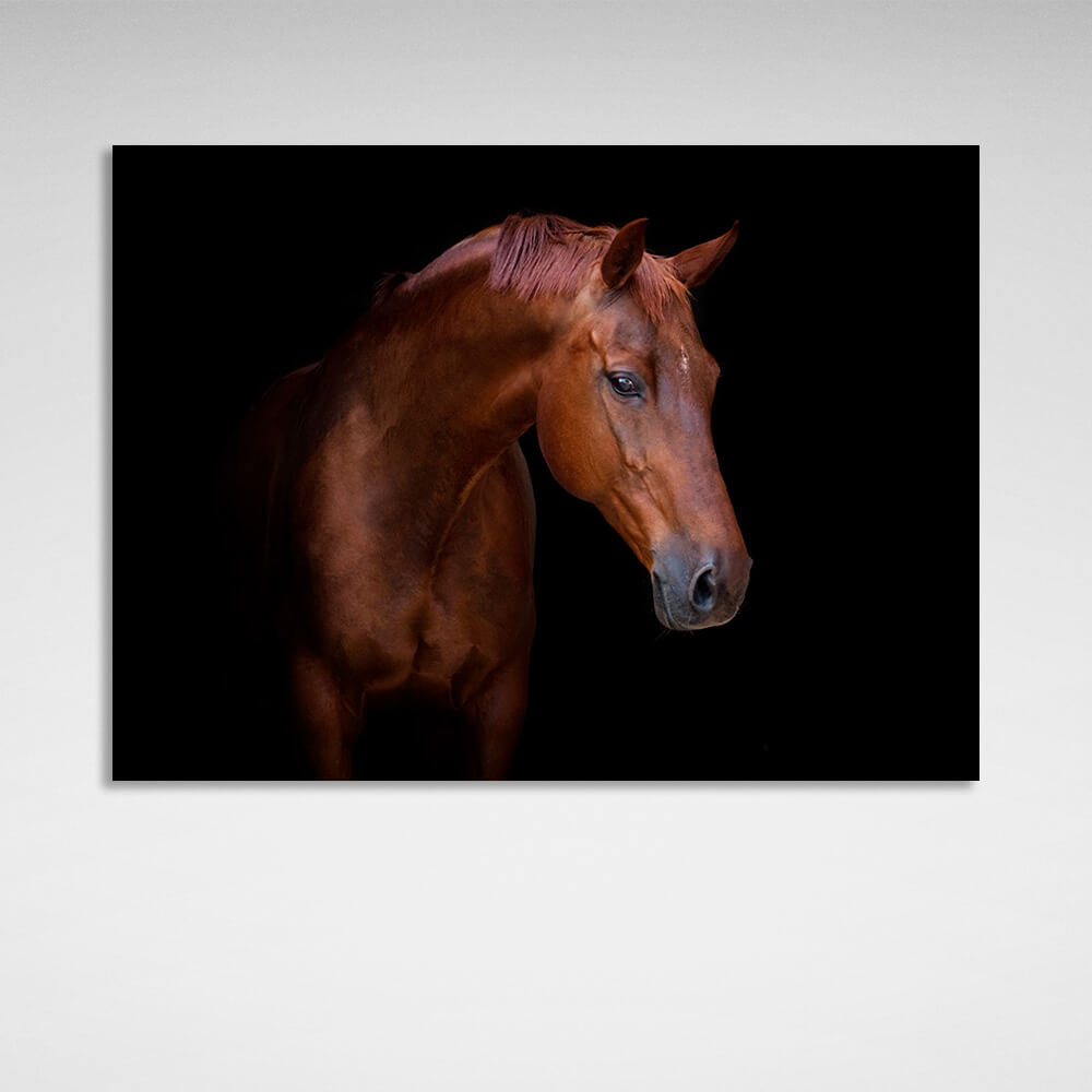 Kunstdruck auf Leinwand, Motiv: Braunes Pferd auf schwarzem Hintergrund