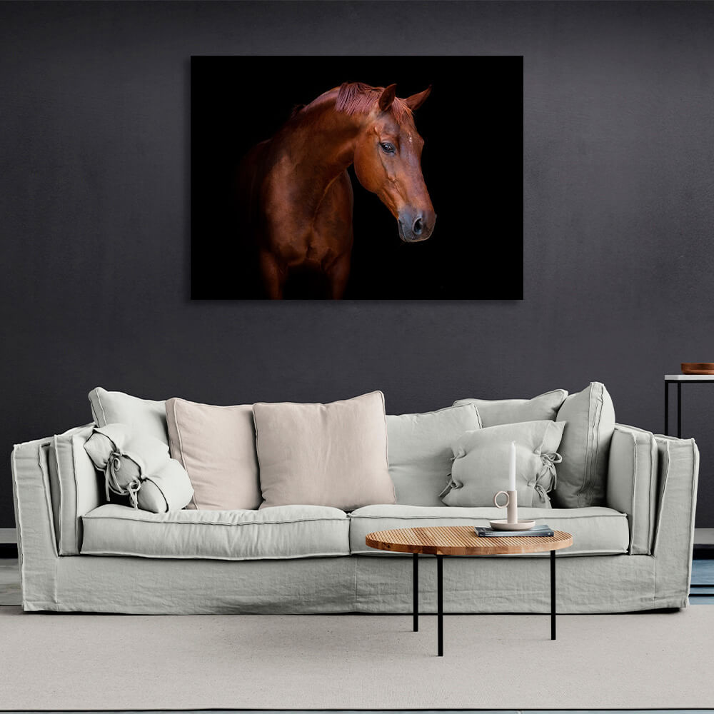 Brown horse on black background Canvas Wall Art Print