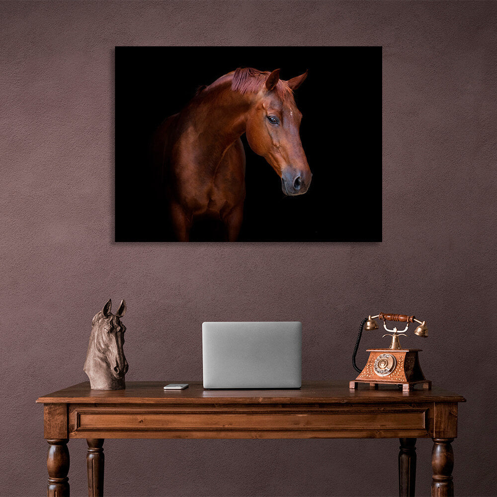 Brown horse on black background Canvas Wall Art Print