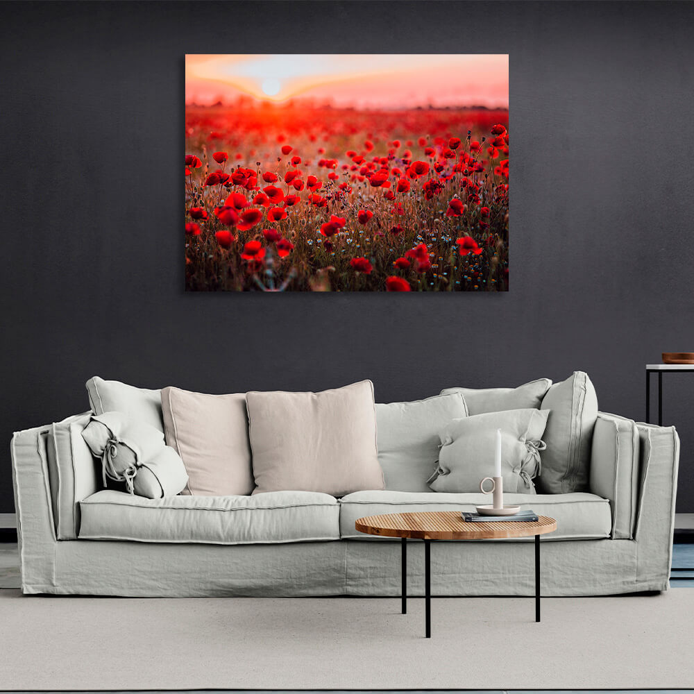 A field of red poppies at dawn Canvas Wall Art Print