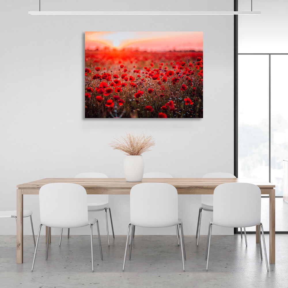 A field of red poppies at dawn Canvas Wall Art Print