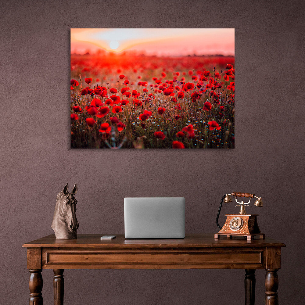 A field of red poppies at dawn Canvas Wall Art Print