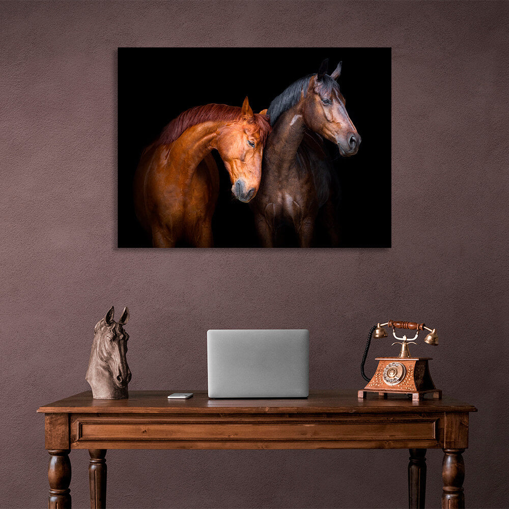 Light and dark brown horses on a black background Canvas Wall Art Print