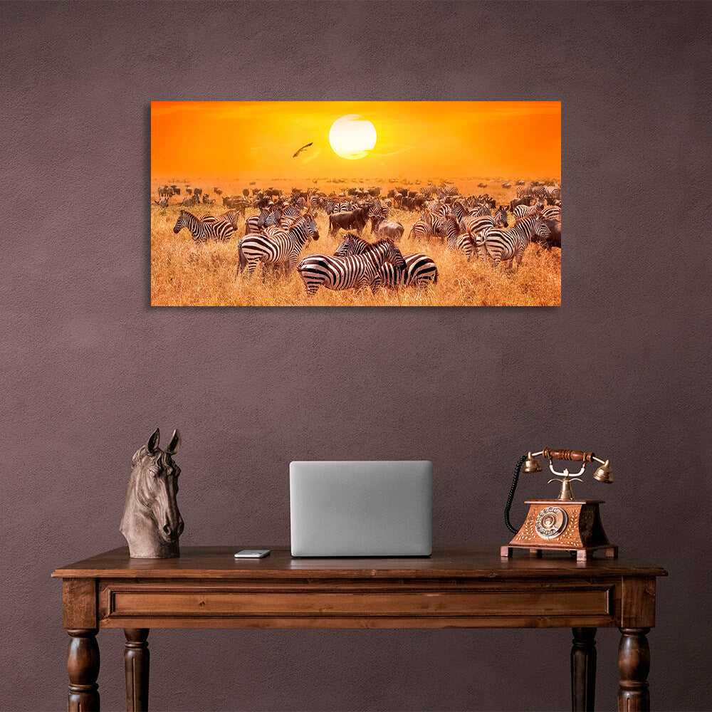 Riesige Herde Zebras auf einer trockenen Weide vor dem Hintergrund des Sonnenuntergangs. Kunstdruck auf Leinwand.