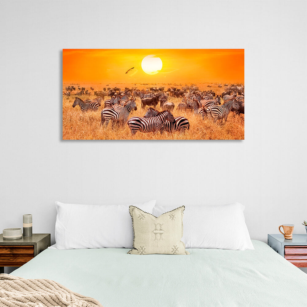 Riesige Herde Zebras auf einer trockenen Weide vor dem Hintergrund des Sonnenuntergangs. Kunstdruck auf Leinwand.