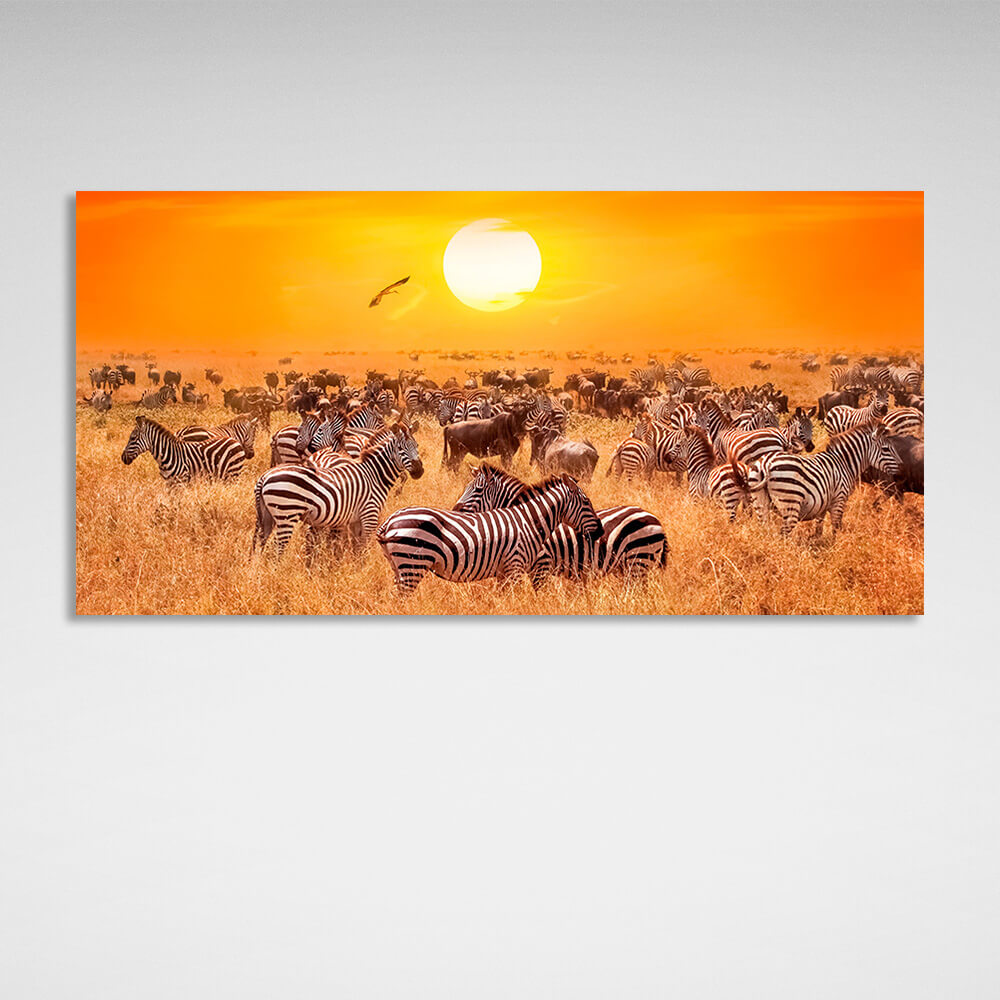 Riesige Herde Zebras auf einer trockenen Weide vor dem Hintergrund des Sonnenuntergangs. Kunstdruck auf Leinwand.