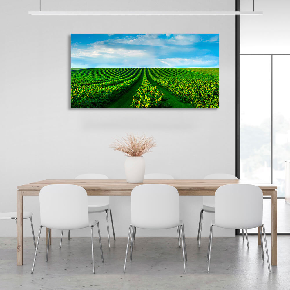 Ein Feld mit grünen Büschen vor einem blauen Himmel mit weißen Wolken Leinwand Wand Kunstdruck