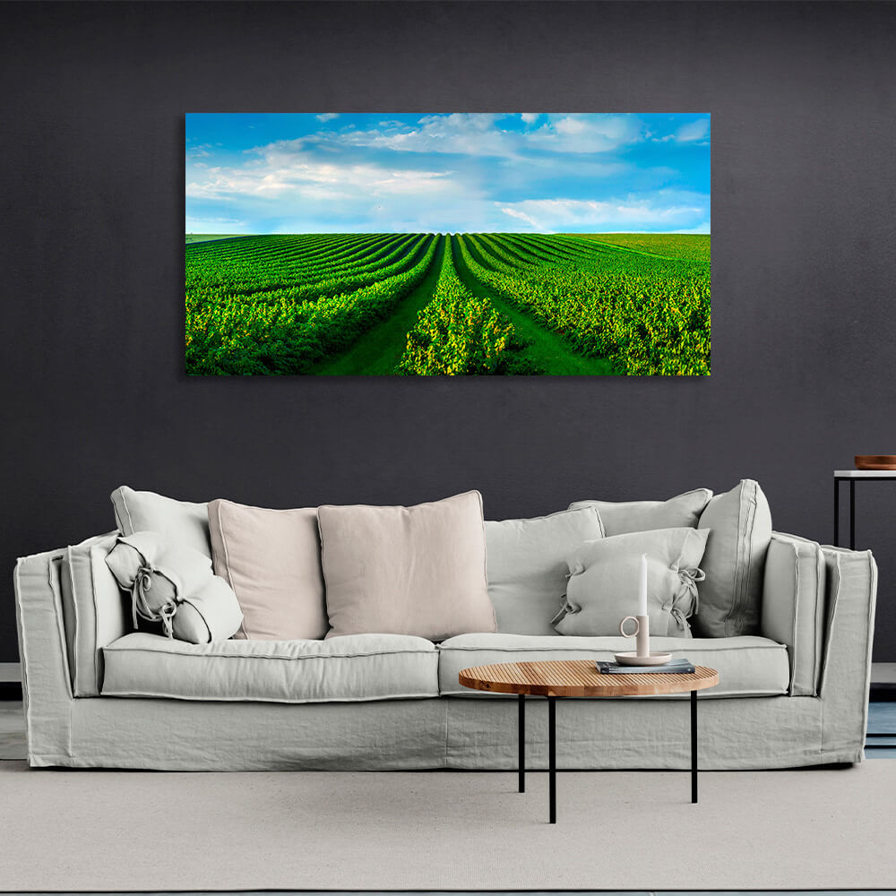 Ein Feld mit grünen Büschen vor einem blauen Himmel mit weißen Wolken Leinwand Wand Kunstdruck