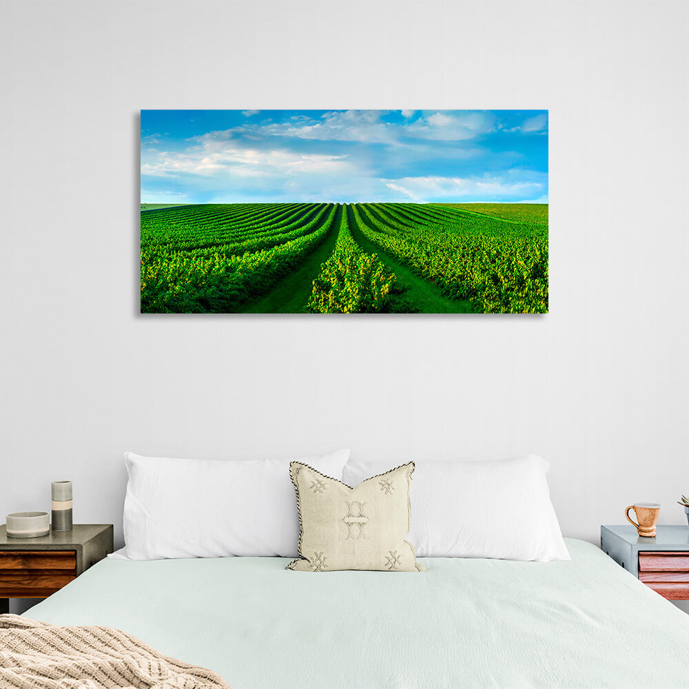 Ein Feld mit grünen Büschen vor einem blauen Himmel mit weißen Wolken Leinwand Wand Kunstdruck