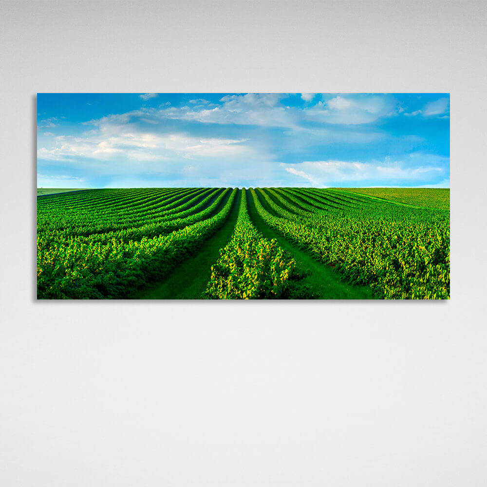 Ein Feld mit grünen Büschen vor einem blauen Himmel mit weißen Wolken Leinwand Wand Kunstdruck