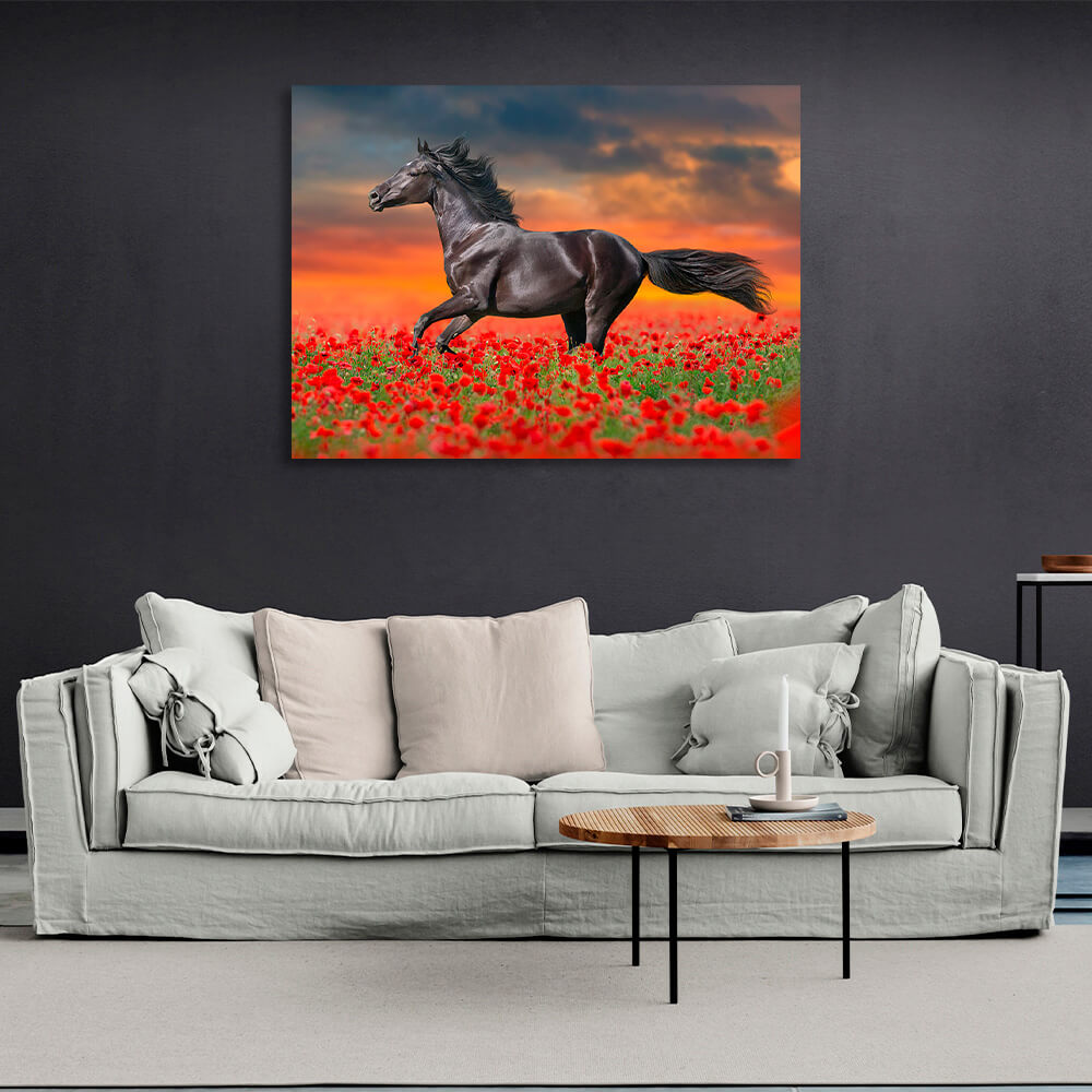 A dark brown horse in a field of red poppies Canvas Wall Art Print