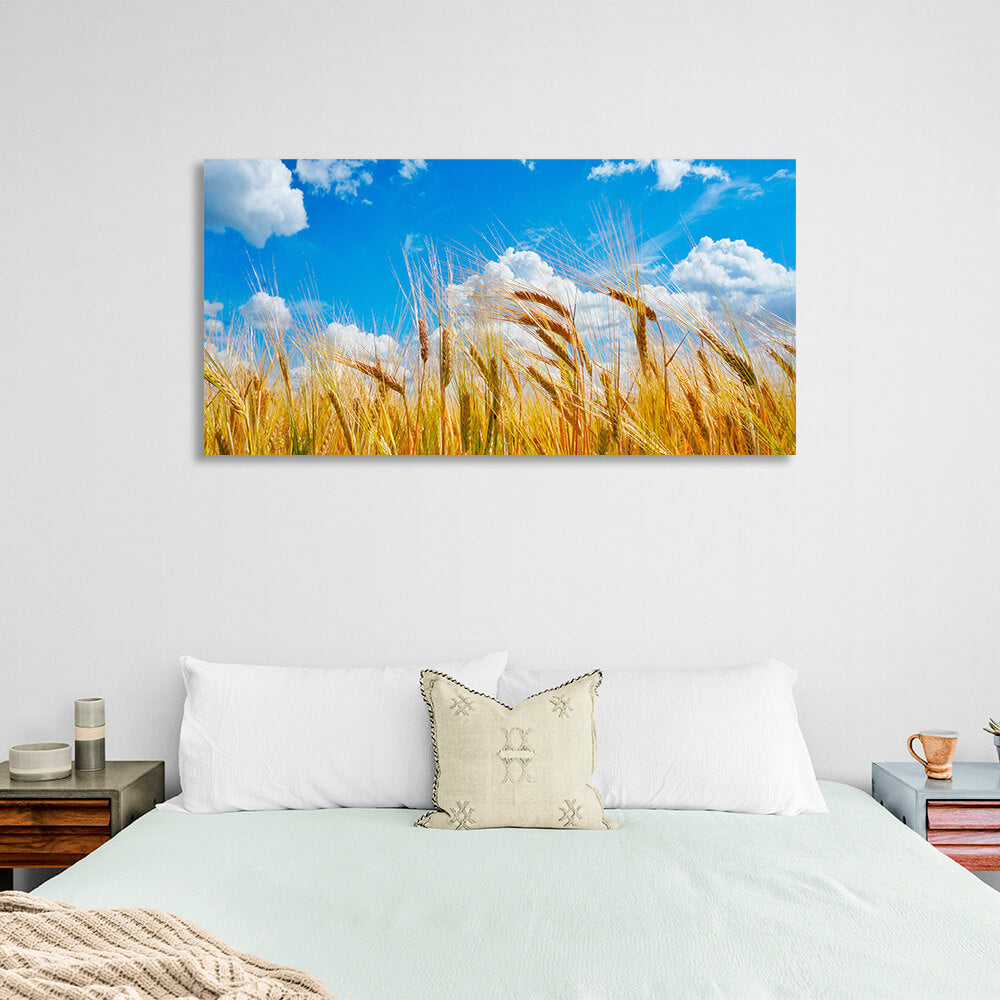 Spikes of wheat on the background of blue sky with clouds Canvas Wall Art Print