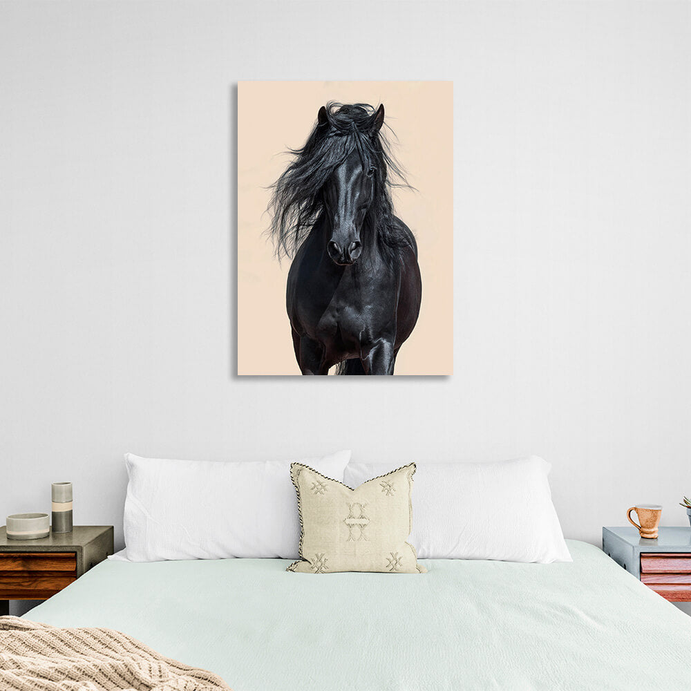 Black horse on beige background Canvas Wall Art Print