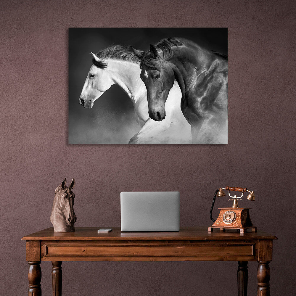 A black and white horse on a black dusty background Canvas Wall Art Print