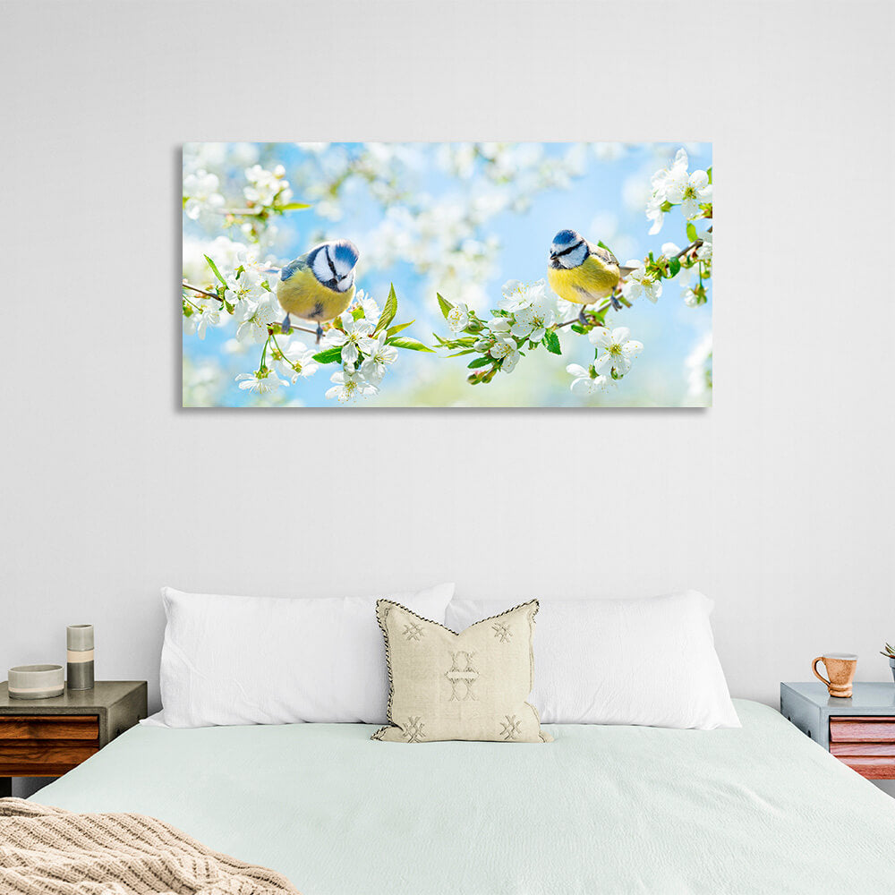 Kunstdruck auf Leinwand, Motiv: 2 Frühlingsmeisen auf Zweigen mit weißen Blüten