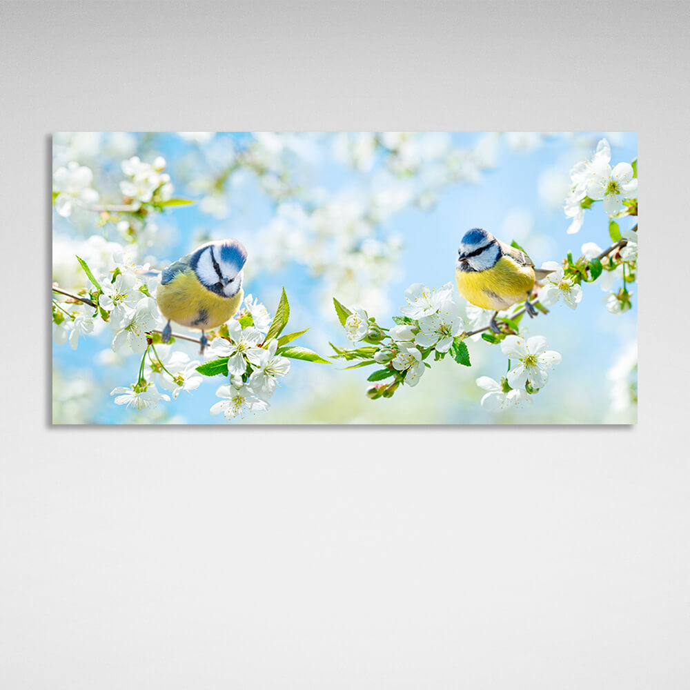 Kunstdruck auf Leinwand, Motiv: 2 Frühlingsmeisen auf Zweigen mit weißen Blüten