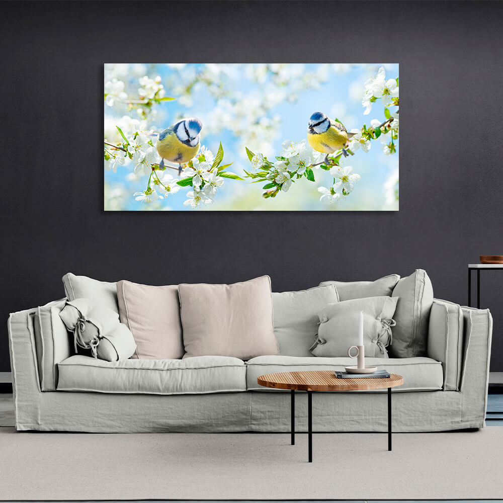 Kunstdruck auf Leinwand, Motiv: 2 Frühlingsmeisen auf Zweigen mit weißen Blüten