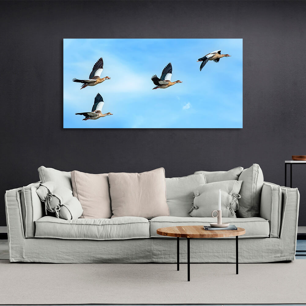 4 birds in a blue sky Canvas Wall Art Print