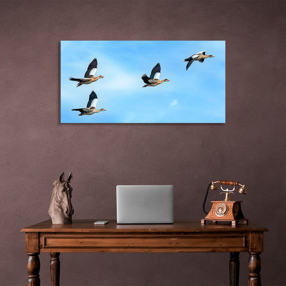 4 birds in a blue sky Canvas Wall Art Print