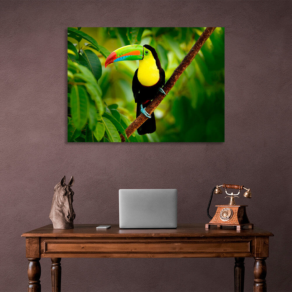 A toucan on a branch in the forest Canvas Wall Art Print