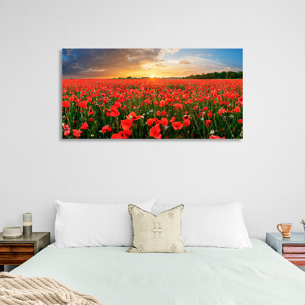 Leinwandbild „Ein Feld mit roten Mohnblumen bei Sonnenuntergang“