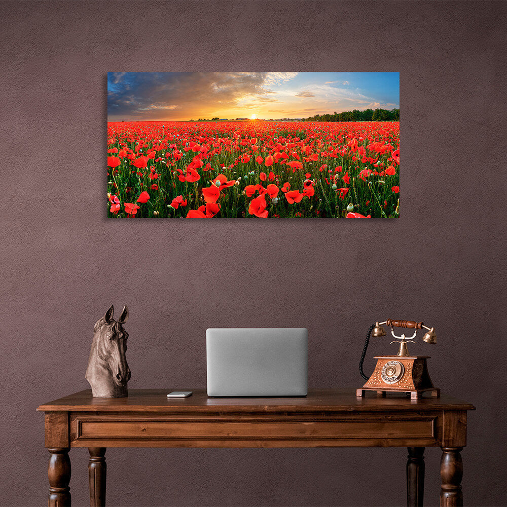 Leinwandbild „Ein Feld mit roten Mohnblumen bei Sonnenuntergang“