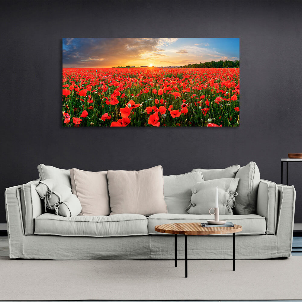 Leinwandbild „Ein Feld mit roten Mohnblumen bei Sonnenuntergang“