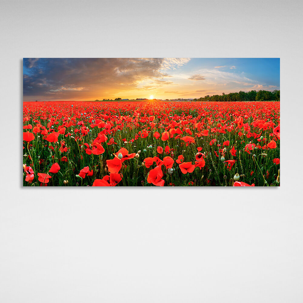 Leinwandbild „Ein Feld mit roten Mohnblumen bei Sonnenuntergang“