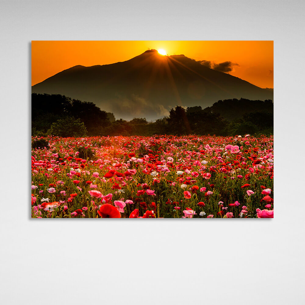 Kunstdruck auf Leinwand, Motiv: Ein Feld mit Mohnblumen vor dem Hintergrund von Wald, Bergen und Sonnenuntergang