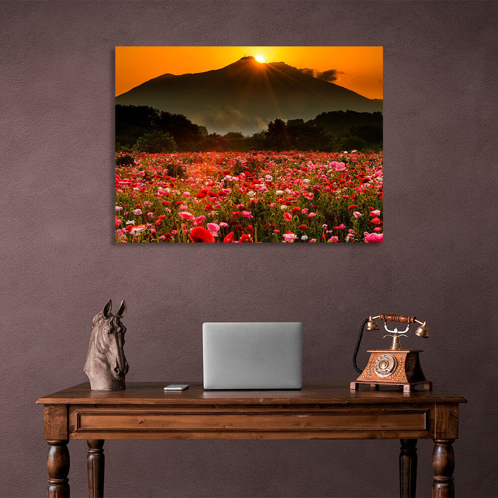 Kunstdruck auf Leinwand, Motiv: Ein Feld mit Mohnblumen vor dem Hintergrund von Wald, Bergen und Sonnenuntergang