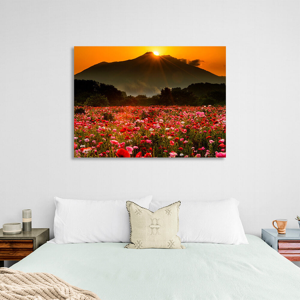 Kunstdruck auf Leinwand, Motiv: Ein Feld mit Mohnblumen vor dem Hintergrund von Wald, Bergen und Sonnenuntergang