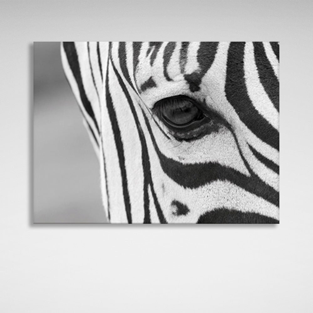 Kunstdruck auf Leinwand mit Zebra-Motiv, grauem Hintergrund