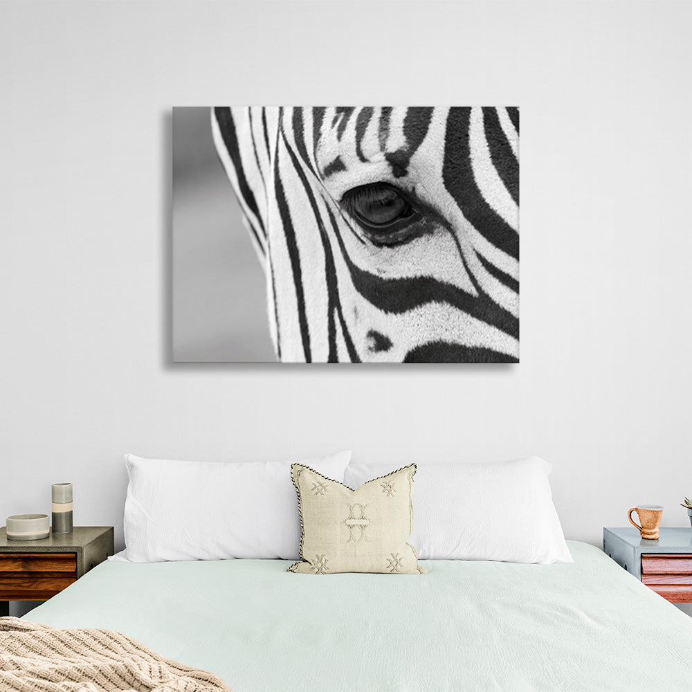 Kunstdruck auf Leinwand mit Zebra-Motiv, grauem Hintergrund