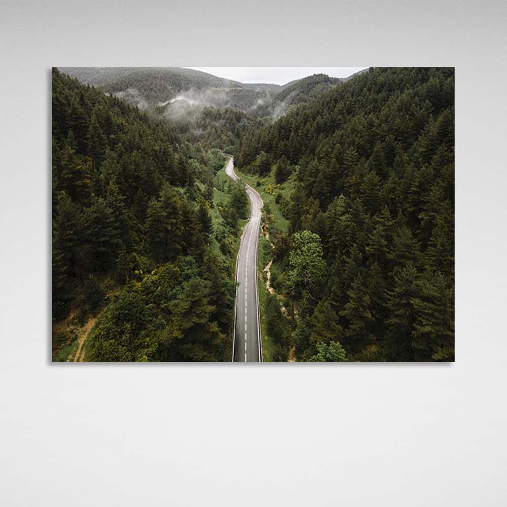 Leinwandbild Straße durch den nebligen Wald