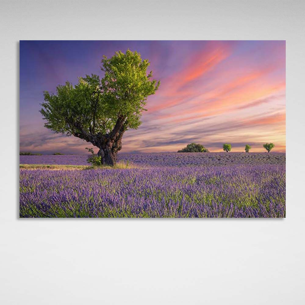 Canvas Wall Art Print Tree in a lavender field