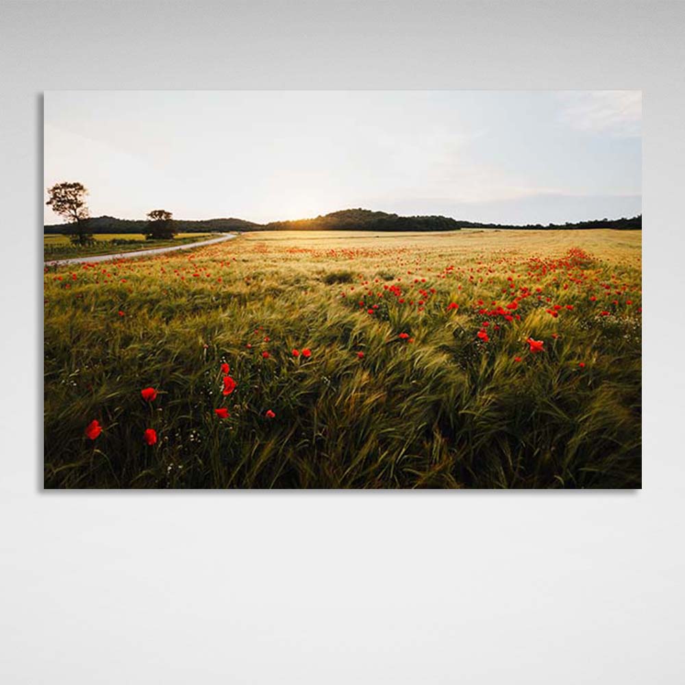 Canvas Wall Art Print Poppy Field