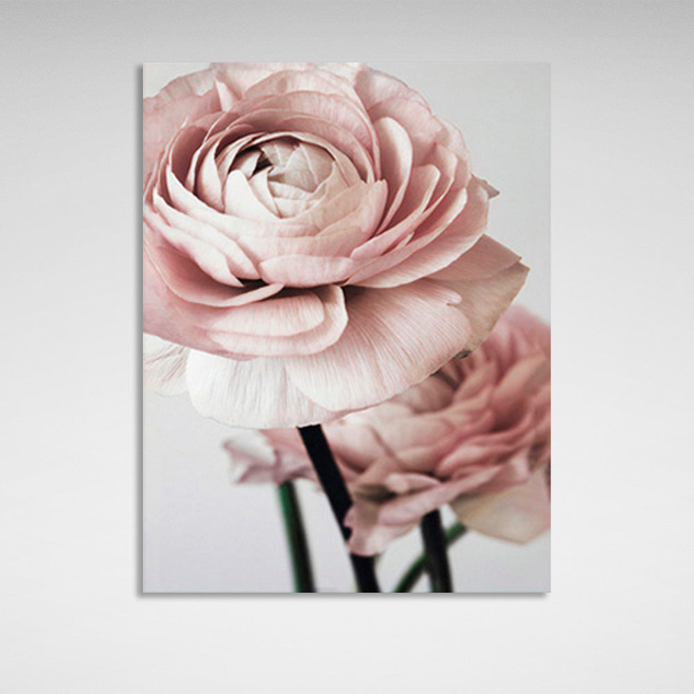 Delicate roses on a light background Canvas Wall Art Print