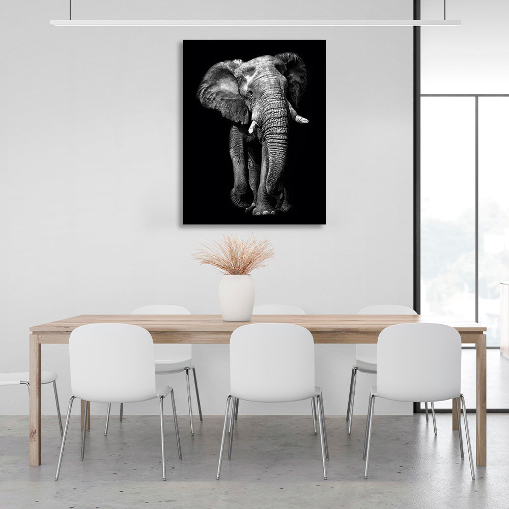 Riesiger Elefant auf schwarzem Hintergrund, Kunstdruck auf Leinwand