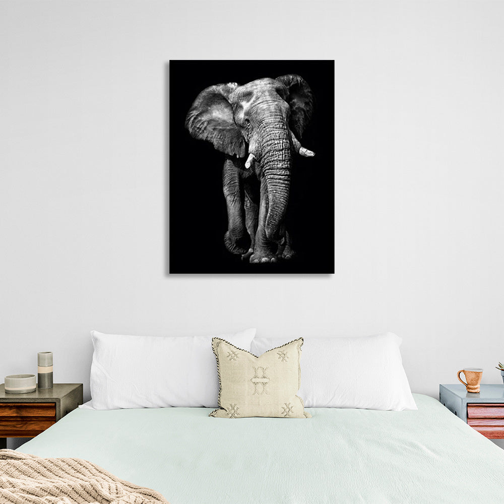 Huge elephant on a black background Canvas Wall Art Print